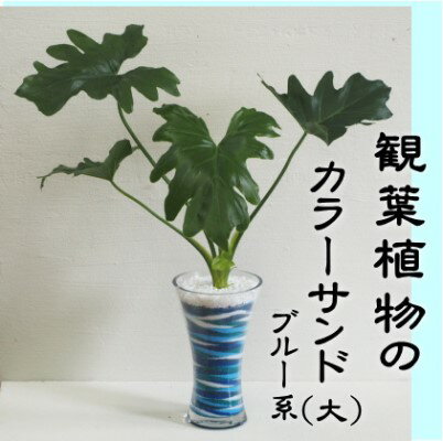 【ふるさと納税】カラーサンド（ガラス花器：大）ブルー系 植物 インテリア 飾り 緑 グリーン 部屋 玄関 グリーンインテリア アート感覚 寄せ植え 1点もの