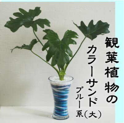 【ふるさと納税】カラーサンド（ガラス花器：大）ブルー系　【 植物 インテリア 飾り 緑 グリーン 部屋 玄関 グリーンインテリア ガラス花器 アート感覚 寄せ植え 1点もの 】