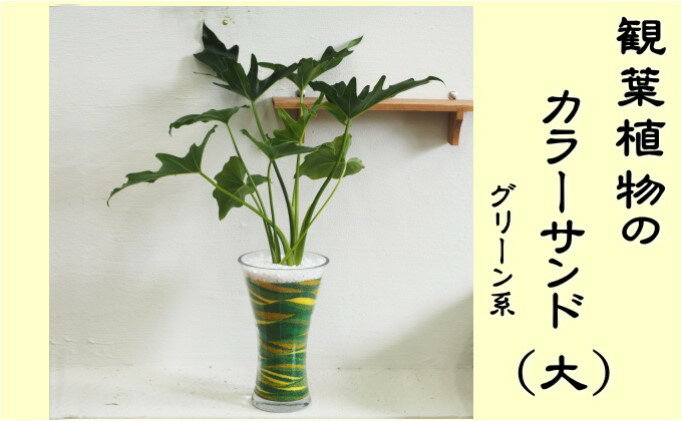 【ふるさと納税】カラーサンド（ガラス花器：大）グリーン系 植物 インテリア 飾り 緑 部屋 玄関 グリーンインテリア アート感覚 寄せ植え 1点もの