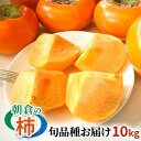 【ふるさと納税】柿 朝倉の柿はじめました。季節の朝倉の柿 約10kg 36-40玉 配送不可 離島 果物 フルーツ 秋の味覚 旬 デザート 果実 おやつ 美味しい品種 厳選 お届け お届け:2025年10月中旬~12月中旬にかけて順次発送