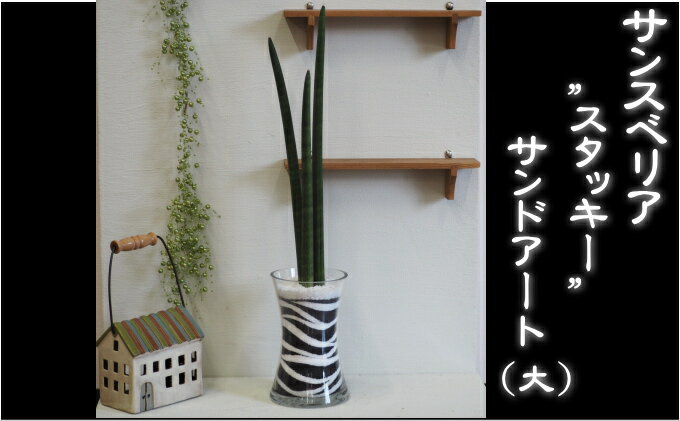 【ふるさと納税】スタッキーのカラーサンド（大）黒 植物 インテリア 飾り 緑 グリーン 部屋 玄関 グリーンインテリア アート感覚 寄せ植え ガラス花器