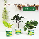 カラーサンド 3個 セット グリーン系 植物 インテリア ガーデン　