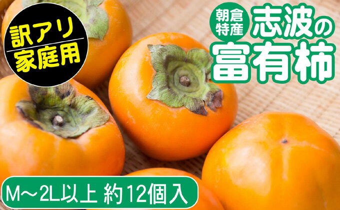【ふるさと納税】2024年先行予約 志波の富有柿 家庭用 M～2Lサイズ×約12個入※配送不可：離島 果物 フルーツ 秋の味覚 おやつ デザート 産地直送 ブランド 柿の王様 福岡県産 朝倉市産 　お届け：2025年11月20日～12月25日