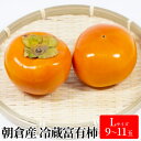 【ふるさと納税】柿 冷蔵 富有柿 Lサイズ 9~11玉入り かき カキ 果物 くだもの フルーツ 配送不可 離島 お届け:2025年12月20日~2026年1月下旬