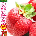 あまおう G以上 約1.04kg 約260g×4パック ※配送不可：北海道・東北・沖縄・離島　　お届け：2024年1月上旬～4月20日