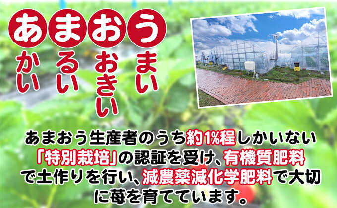 【ふるさと納税】いちご 2027年2月下旬より発送 特選あまおう 400g※配送不可：離島 　お届け：2027年2月下旬～3月末 f402281-asakura-10002497 福岡県朝倉市 サンプル画像3