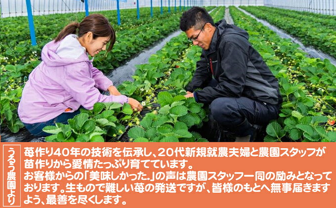【ふるさと納税】いちご 2027年2月下旬より発送 うるう農園のあまおう大福キット（...