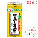 【ふるさと納税】豆乳 まるごと大豆飲料 1000ml×6本入り 2ケース 大豆 ふくれん※配送不可：北海道・沖縄・離島　【 豆類 飲料 ドリンク ブレンド 健康 風味 イソフラボン 食物繊維 】