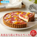 【ふるさと納税】ケーキ あまおう苺のタルトケーキ 6号 約1