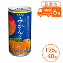 23位! 口コミ数「0件」評価「0」定期便 6回 みかんジュース 20缶入り 2ケース 福岡県の郷土ジュース 福岡県産 みかん 濃厚 ビタミンC 100％ジュース ふくれん※配･･･ 