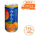 45位! 口コミ数「0件」評価「0」定期便 12回 みかんジュース 20缶入り 2ケース 福岡県の郷土ジュース 福岡県産 みかん 濃厚 ビタミンC 100％ジュース ふくれん※･･･ 