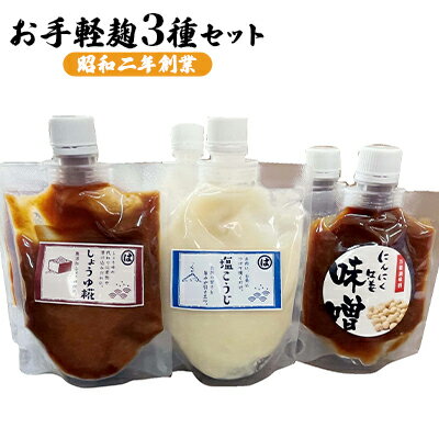 麹 調味料 お手軽麹3種セット 各2個 調味料セット 味付け 料理 調理 発酵食品 にんにく生姜みそ しょうゆ糀 塩こうじ
