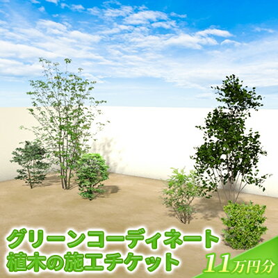 【ふるさと納税】植木の施工チケット 11万円分 【 植物 グリーン ビル マンション お庭 エントランス デザイン 植木施工 緑 サービス グリーンコーディネート 】