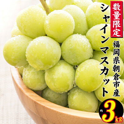 シャインマスカット 2024年発送 約3kg 大粒 フルーツ ブドウ 高級 ぶどう 葡萄 果物 くだもの 旬菜板屋 配送不可 離島 果物類 デザート 食後 種なし 皮ごと ジューシー お届け:2025年9月1日〜9月30日まで