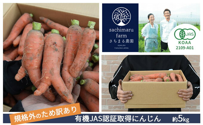 【ふるさと納税】訳あり 規格外 にんじん 約5kg 有機JAS認証取得 栽培期間中農薬 除草剤 化学肥料不使用 野菜 食材 緑黄色野菜 国産野菜 えぐみがない 甘い人参 産地直送 キャロット ベジタブル 　お届け：2025年12月上旬～2026年2月下旬