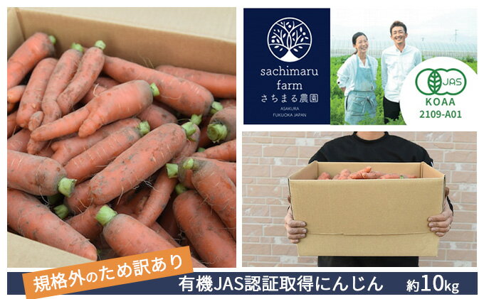 【ふるさと納税】訳あり 規格外 にんじん 約10kg 有機JAS認証取得 栽培期間中農薬 除草剤 化学肥料不使用 野菜 食材 緑黄色野菜 国産野菜 えぐみがない 甘い人参 産地直送 キャロット ベジタブル 　お届け：2025年12月上旬～2026年2月下旬