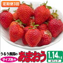 【ふるさと納税】定期便 3回 いちご 発送時期 2025年2月~4月 うるう農園のあまおう サイズ色々 4パック 約1.14kg 配送不可 離島 果物類 フルーツ 安心 安全 美味しい 食べやすい  お届け:2026年2月~4月