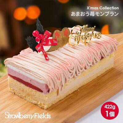 【ふるさと納税】ケーキ 2023年 クリスマス 限定 Strawberry Fields 福岡産 あ ...