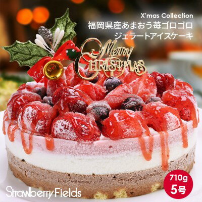 【ふるさと納税】アイス ケーキ 5号 2023年 クリスマス 限定 Strawberry Field ...