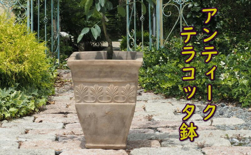 福岡県朝倉市の画像3