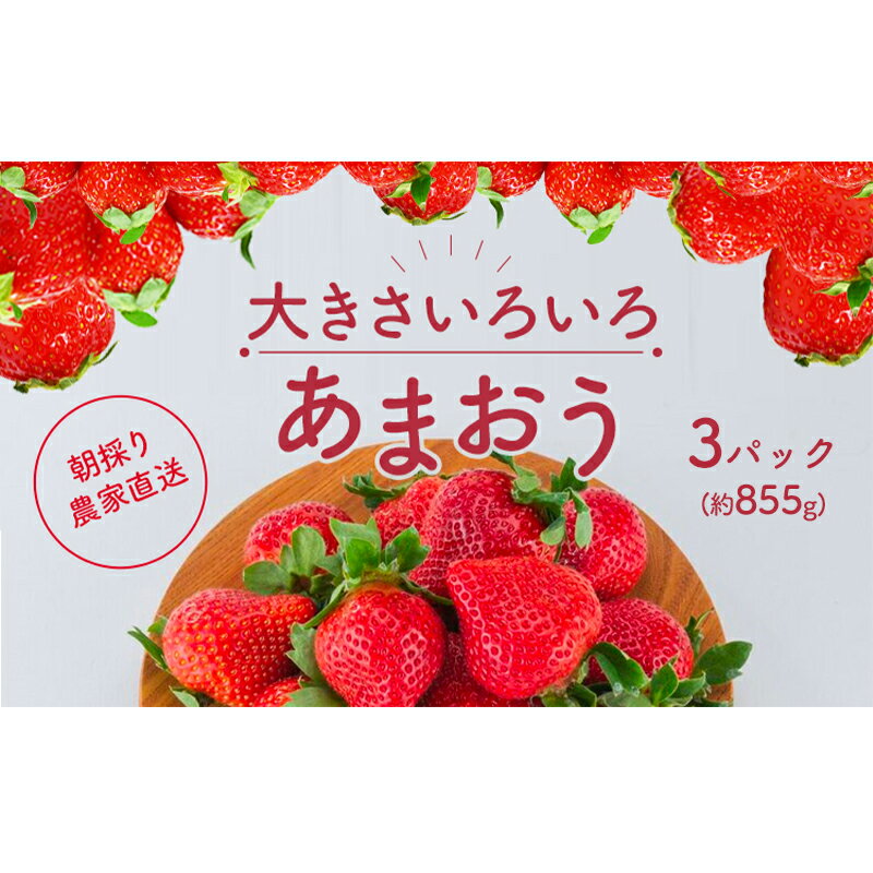 いちご あまおう サイズ いろいろ 3パック(約855g)朝倉限定 イチゴ 苺 果物 フルーツ 配送不可:離島 お届け:2026年1月中旬〜4月上旬
