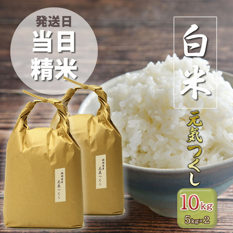 6位! 口コミ数「0件」評価「0」米 10kg 元気つくし 福岡県産 特A評価 お米 5kg×2袋 白米 コメ 福岡県　【朝倉市】