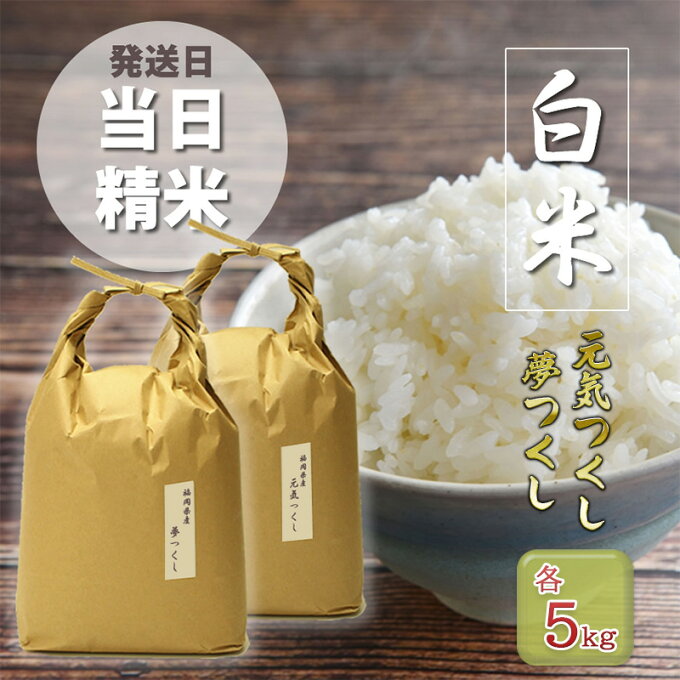 【ふるさと納税】米 食べ比べ 10kg 特A米 元気つくし A米 夢つくし 各5kg...