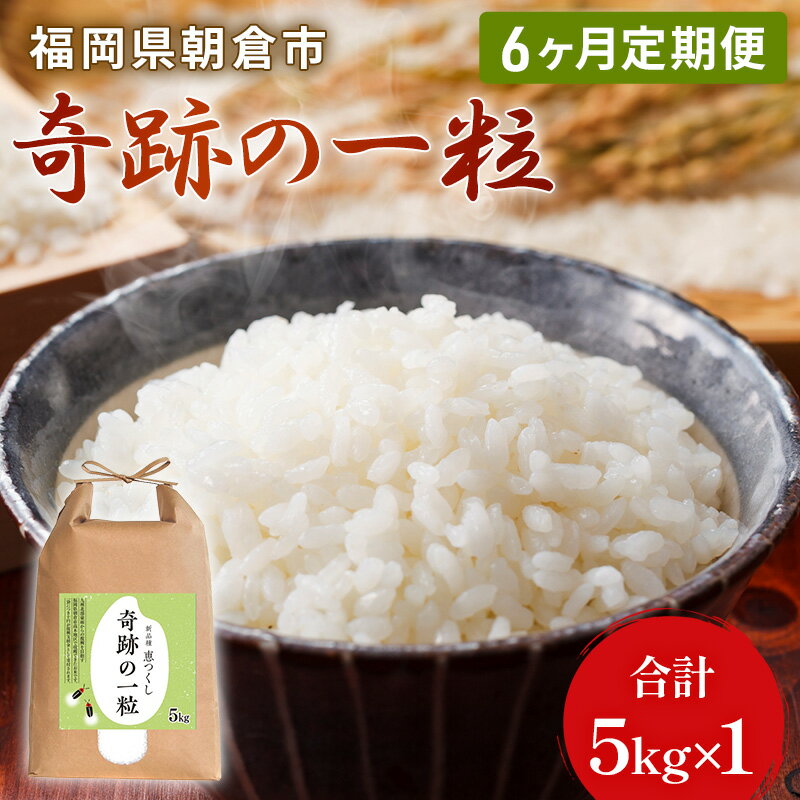 【ふるさと納税】定期便 6ヶ月 米 5kg 恵つくし 奇跡の一粒 5kg×1 令和5年産 お米 こめ コメ 新品種 6回 お楽しみ　定期便・朝倉市　お届け：～2024年9月末のサムネイル