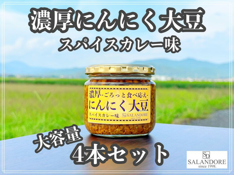 20位! 口コミ数「0件」評価「0」大容量 濃厚にんにく大豆 スパイスカレー味 4本 セット　【朝倉市】