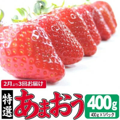 【ふるさと納税】定期便 3ヶ月 いちご あまおう 400g 