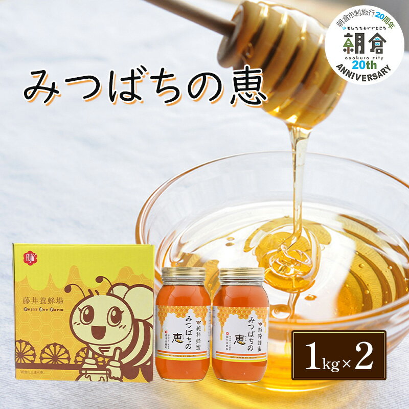 [朝倉市制施行20周年記念企画] はちみつ みつばちの恵 1kg×2 バラエティボックス入 ハチミツ 蜂蜜