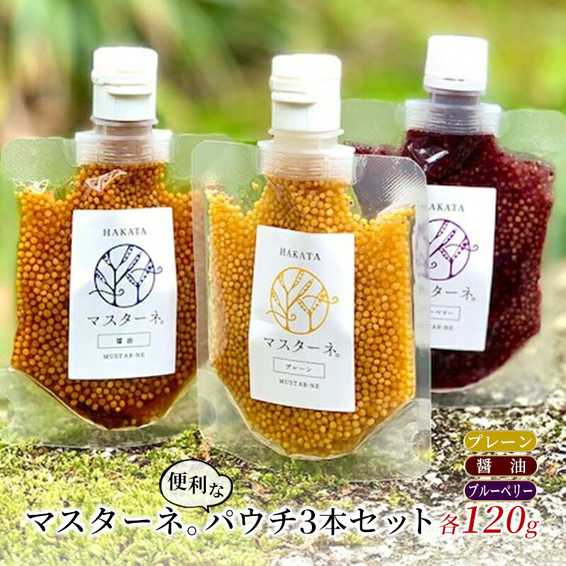 調味料 マスタード 3本 セット マスターネ。 プレーン 醤油 ブルーベリー 各120g パウチ 食べ比べ ※配送不可:離島