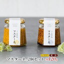 【ふるさと納税】調味料 マスタード 2個 セット マスターネ。 プレーン 醤油 各120g 瓶 食べ比べ ※配送不可:離島