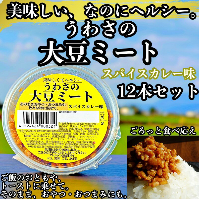 7位! 口コミ数「0件」評価「0」大豆 加工品 うわさの大豆ミート スパイスカレー味 80g×12本 セット 健康 ヘルシー　【朝倉市】　【朝倉市】