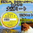 【ふるさと納税】大豆 加工品 うわさの大豆ミート スパイスカレー味 80g×12本 セット 健康 ヘルシー