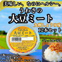 【ふるさと納税】大豆 加工品 うわさの大豆ミート 九州しょうゆ味 80g×12本 セット 健康 ヘルシー