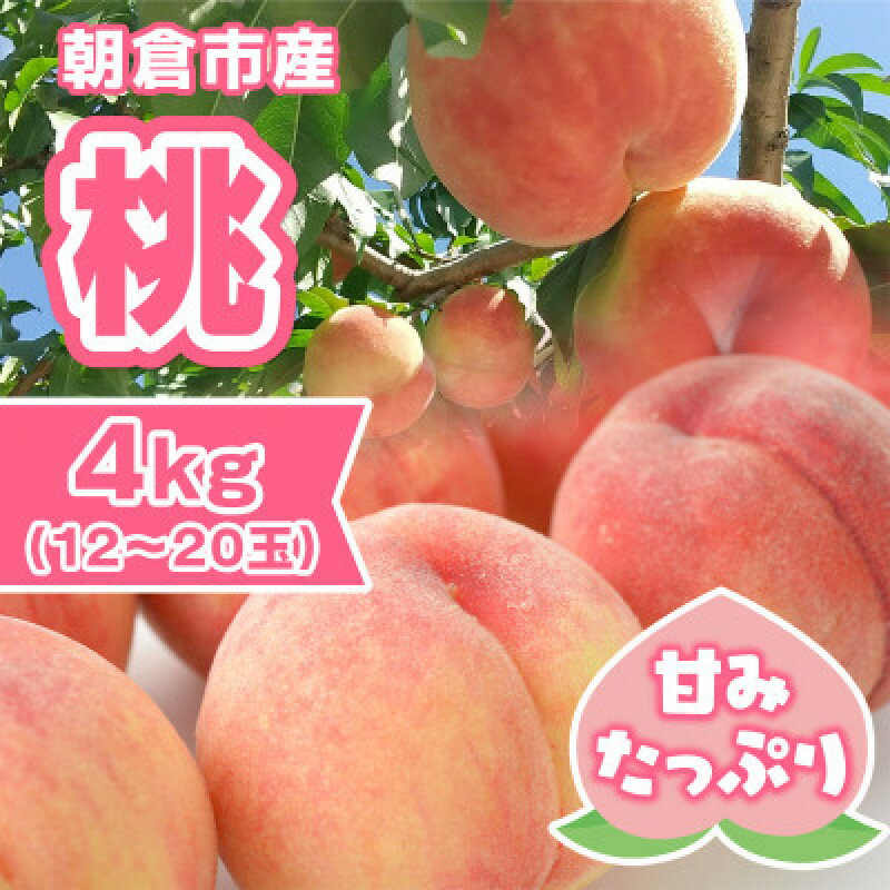 【ふるさと納税】【ふるさと納税】桃 朝倉市産 約4kg 12～20玉 もも モモ 果物 デザート ※配送不可：離島　【朝倉市】　お届け：2024年6月30日～8月4日　朝倉市　お届け：2024年6月30日～8月4日のサムネイル