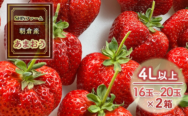 【ふるさと納税】いちご 朝倉市産 あまおう 4L以上 16玉～20玉×2箱 イチゴ 苺 果物 デザート ＜SHINファーム＞ ※配送不可：離島 　お届け：2025年12月中旬～2026年3月下旬