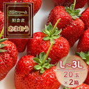 【ふるさと納税】いちご 朝倉市産 あまおう L~3L 20玉×2箱 イチゴ 苺 果物 デザート <SHINファーム> ※配送不可:離島  お届け:2025年12月中旬~2026年3月下旬
