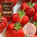【ふるさと納税】いちご 朝倉市産 あまおう 3L 12玉 イチゴ 苺 果物 デザート <SHINファーム> ※配送不可:離島  お届け:2025年12月中旬~2026年3月下旬