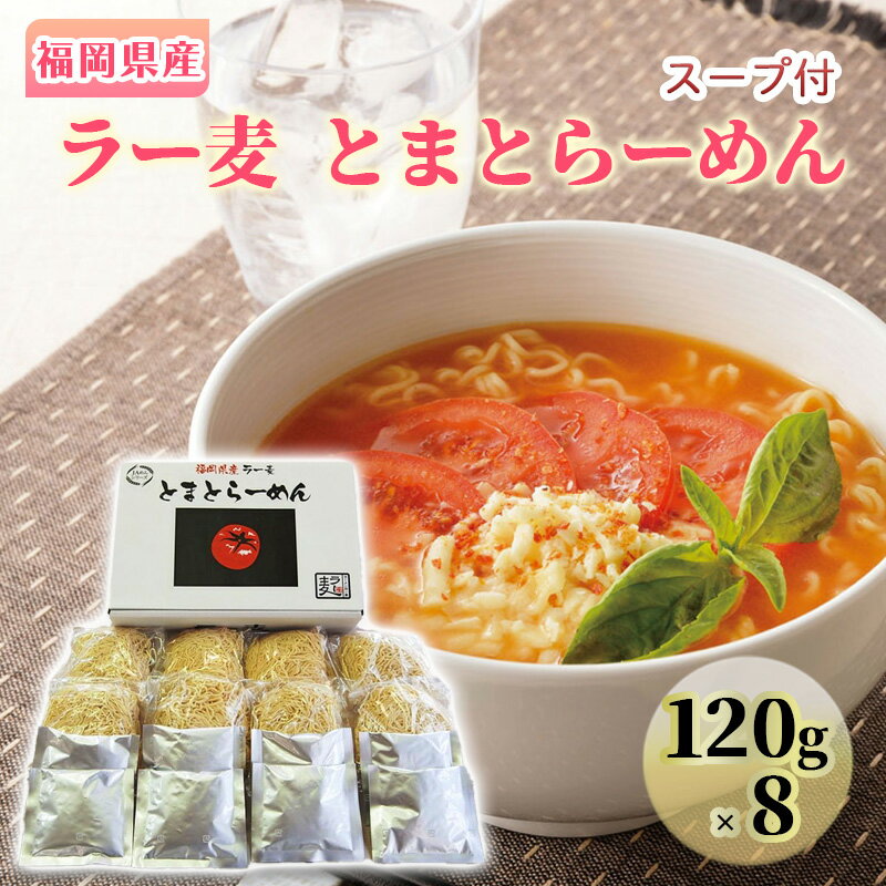 ラーメン 福岡県産 ラー麦 とまとらーめん 1ケース 麺