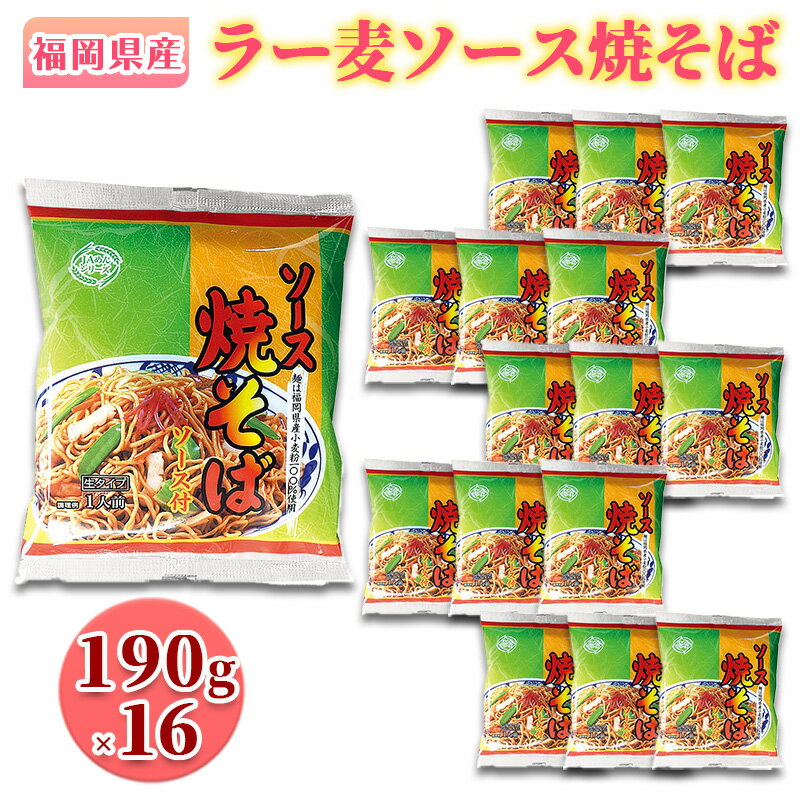 焼きそば 福岡県産 ラー麦 ソース焼そば 1ケース 麺
