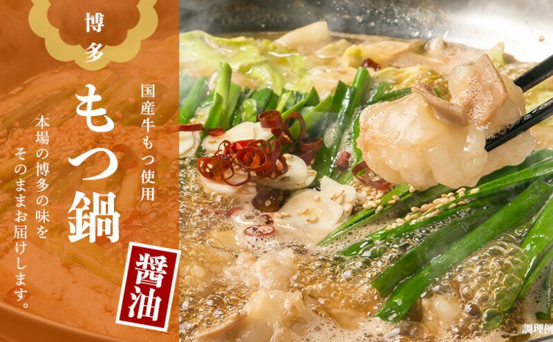 【ふるさと納税】もつ鍋 醤油味 4～5人前 もつ 鍋 セット