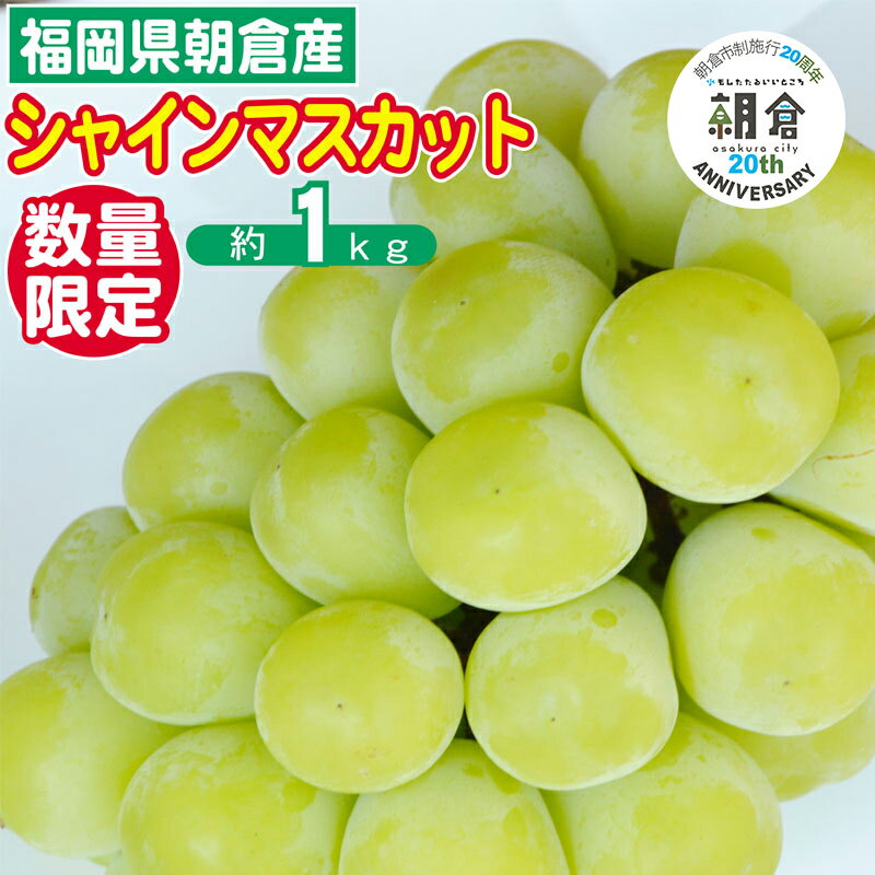 【ふるさと納税】【朝倉市制施行20周年記念企画】 数量限定 シャインマスカット 1～3房 約1kg ゆう美果樹園 シャイン マスカット 葡萄 ※配送不可：離島　お届け：2025年9月上旬～下旬