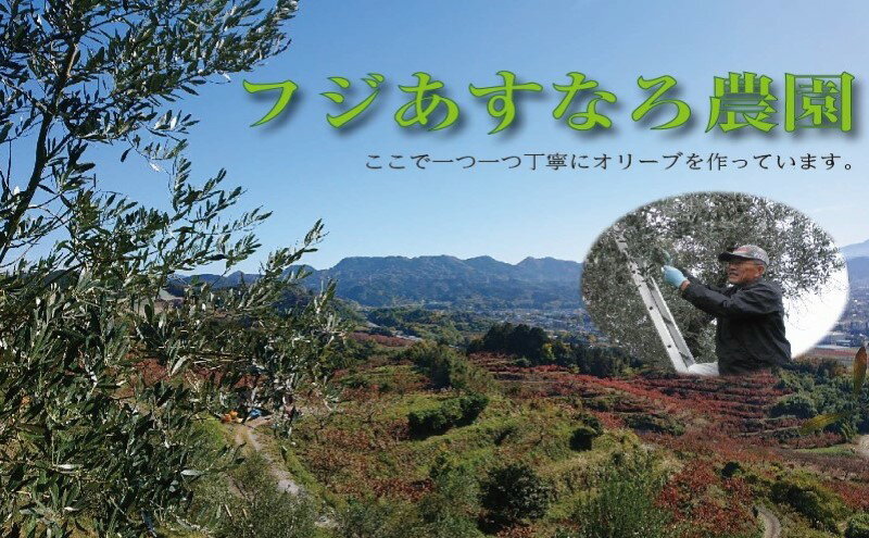 【ふるさと納税】オリーブ 塩漬け 自家農園産 (115g×3個)