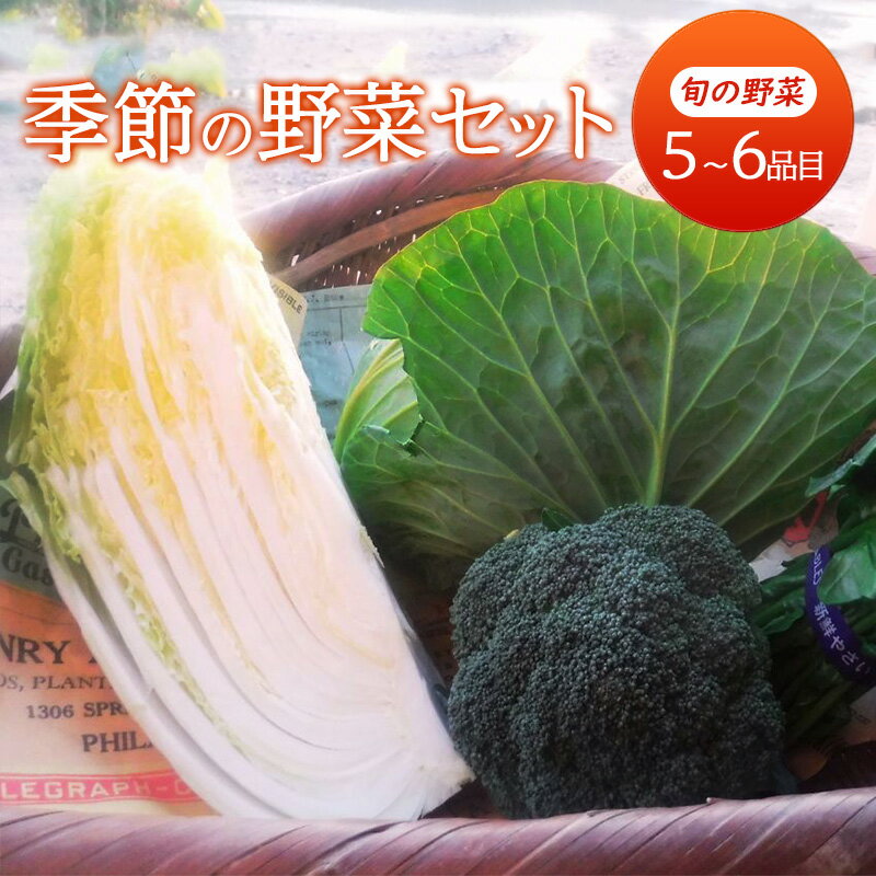ڤդ뤵Ǽǡ ڥå    ڥå ʡ īһ