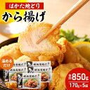 【ふるさと納税】はかた地どり から揚げ 5セット 温めるだけ 唐揚げ 鶏肉 お肉 レンジ 調理 ※配送不可:離島
