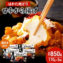 【ふるさと納税】はかた地どり 甘辛 から揚げ 5セット 温めるだけ 唐揚げ 鶏肉 お肉 レンジ 調理 ※配送不可:離島