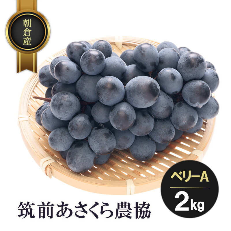 朝倉産 ベリーA 2kg フルーツ 果物 くだもの 筑前あさくら農協 発送予定:2025年7月下旬〜8月上旬 ※配送不可:北海道、沖縄、離島 お届け:2025年7月下旬〜8月上旬まで