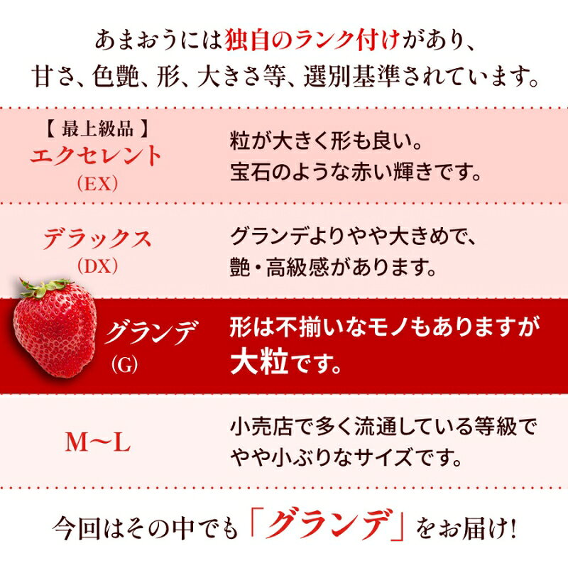 福岡県朝倉市の【ふるさと納税】定期便 3ヶ月 福岡県産 あまおう 合計1500g 先行予約 2027年1月より順次発送 いちご イチゴ 苺 果物 3回 ※配送不可：離島　お届け：2027年1月10日～3月31日｜アングル3